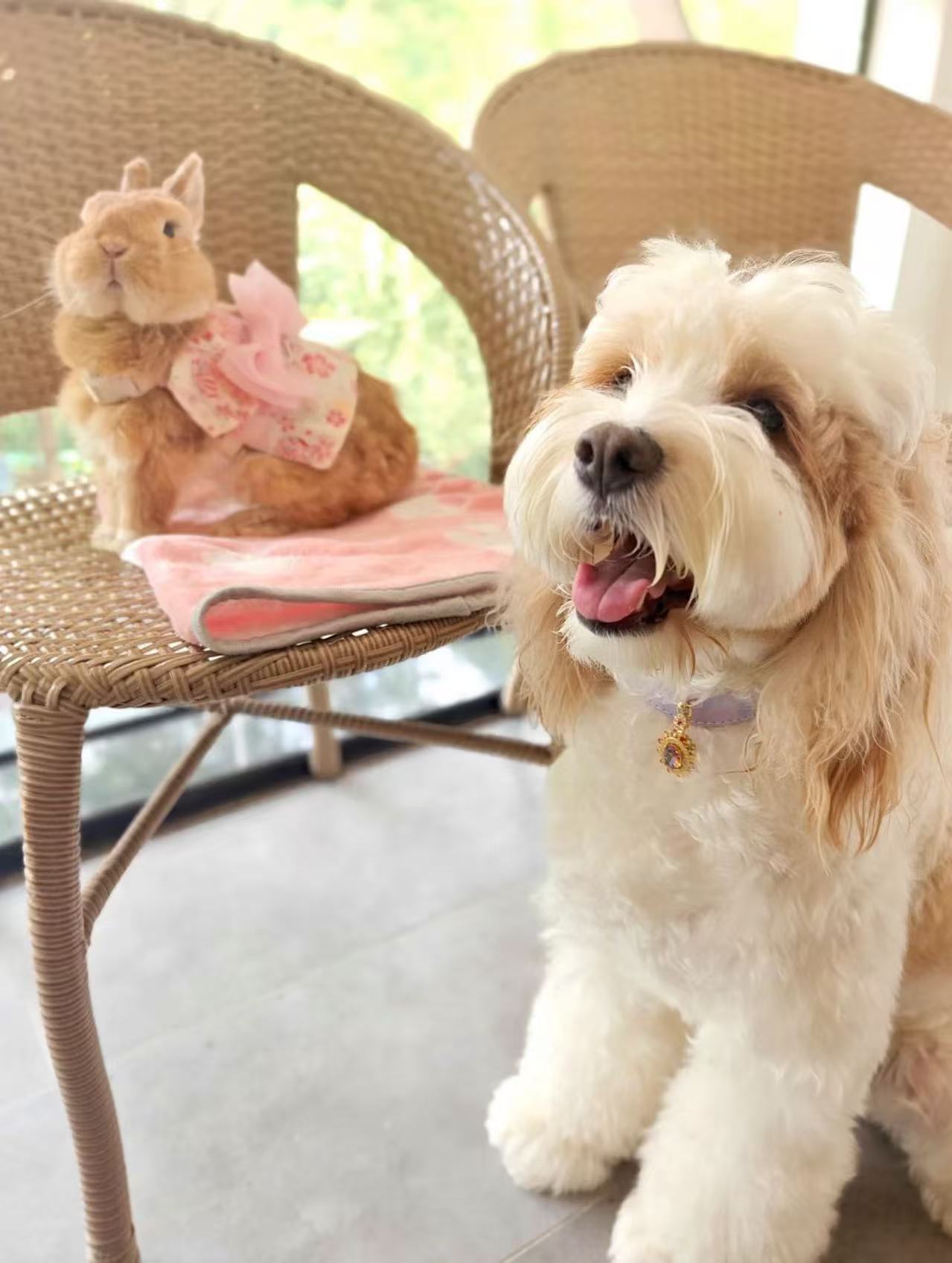 19a66f64ea78368af567e3de0ee1b745