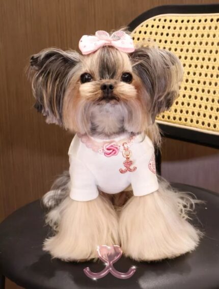 Blossom Wish · Gentle Heart Collar