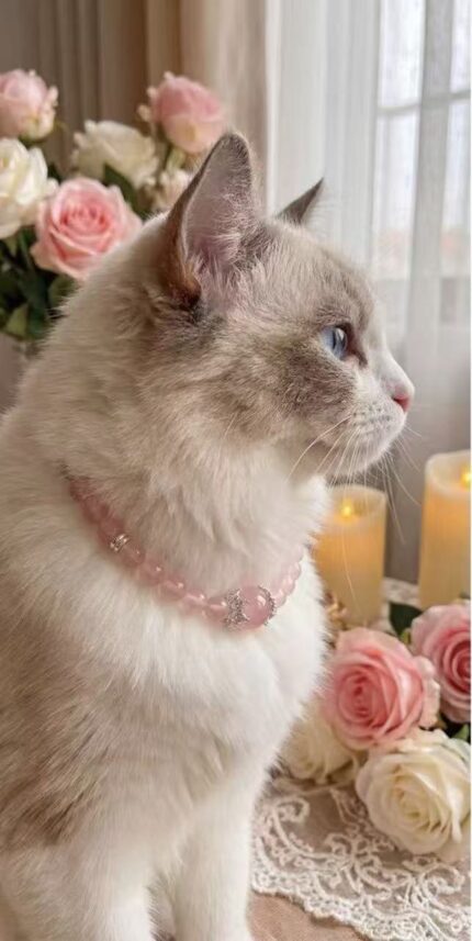 Blush Serenity · Gentle Bless Collar